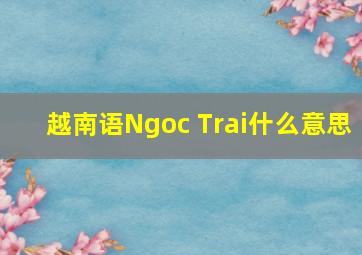 越南语Ngoc Trai什么意思